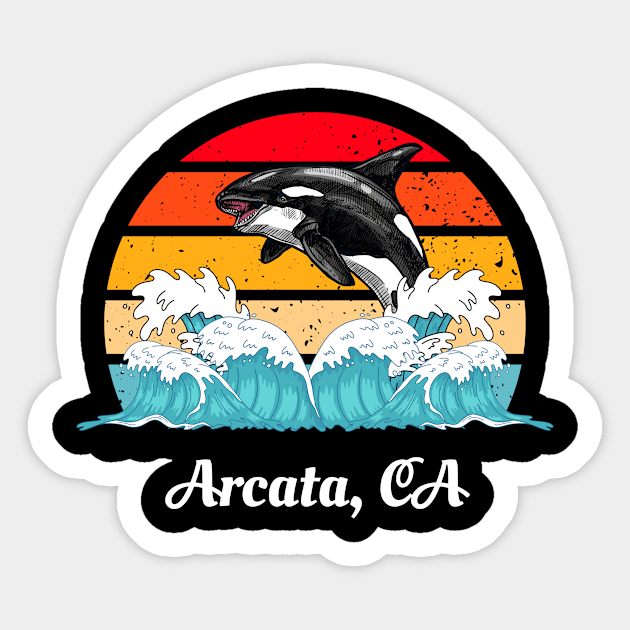 Arcata California Distressed Orca Killer Whale Waves Art Sticker by twizzler3b